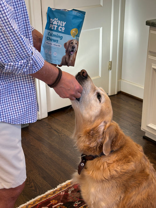 Finding the Right Calming Supplement for Your Dog