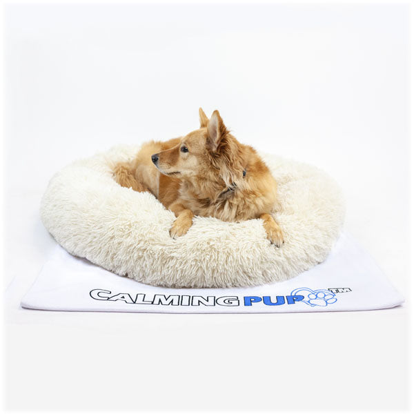 Best Calming Bed For Dogs 12 Days Delivery Calming Pup