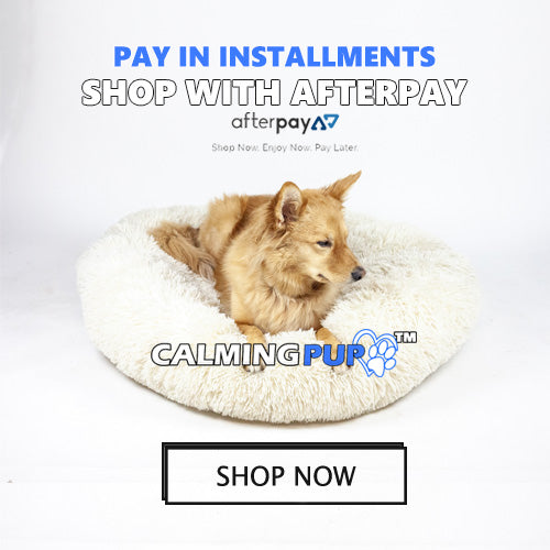 Calming Pup Official Calming Dog Bed