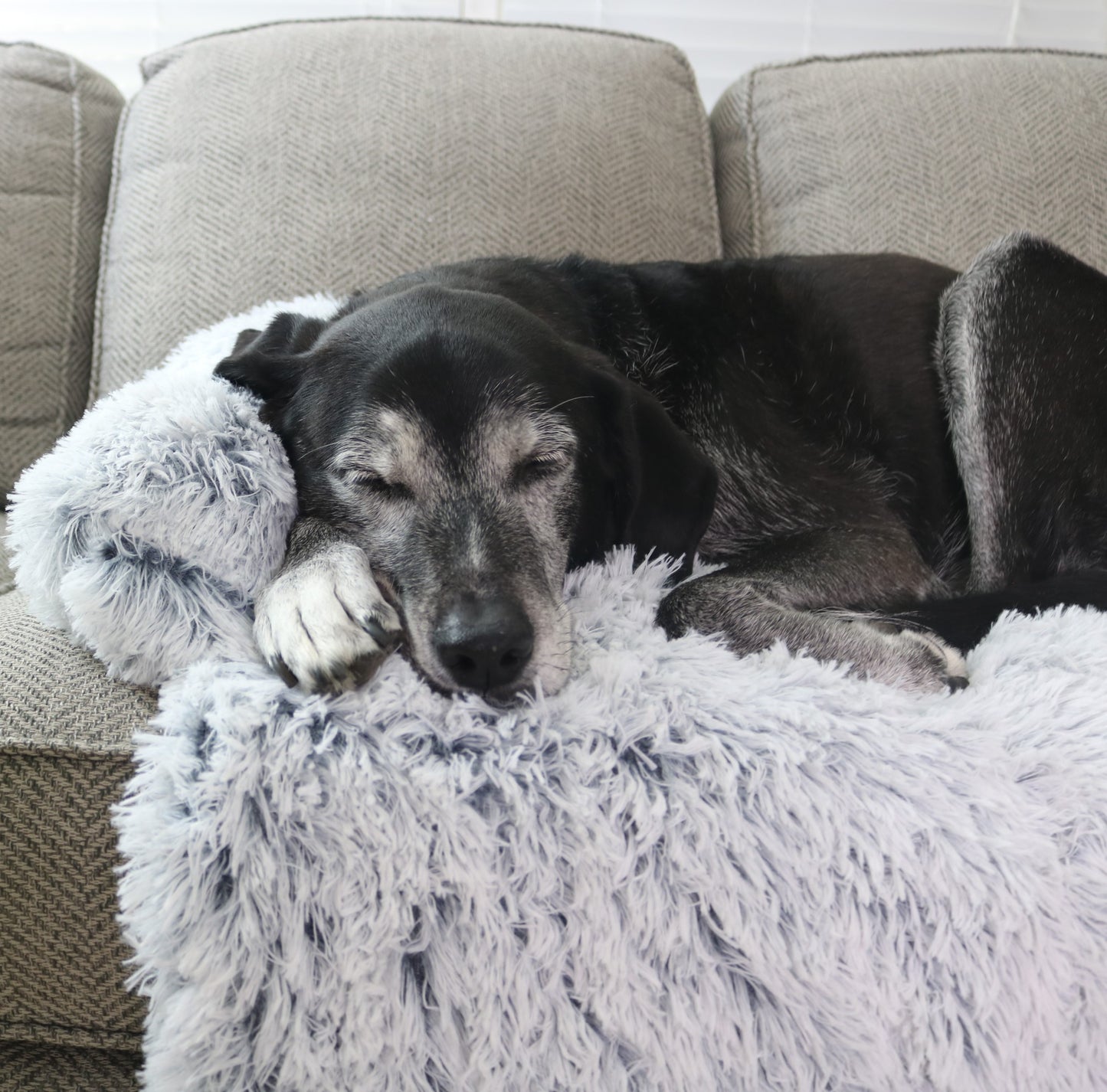 CalmingPup - Calming Couch Protector (Plush Edition)