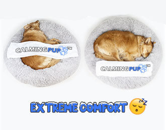 Extreme Comfort On Calming Dog Bed By Calming Pup