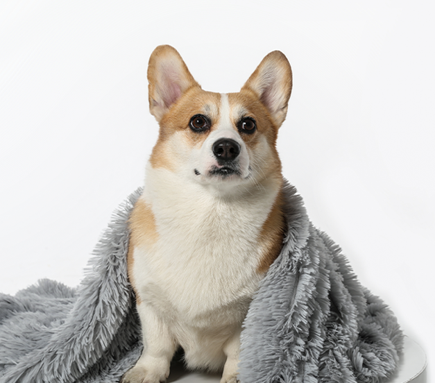 CalmingPup - Anxiety Relieving Fluffy Dog Blanket