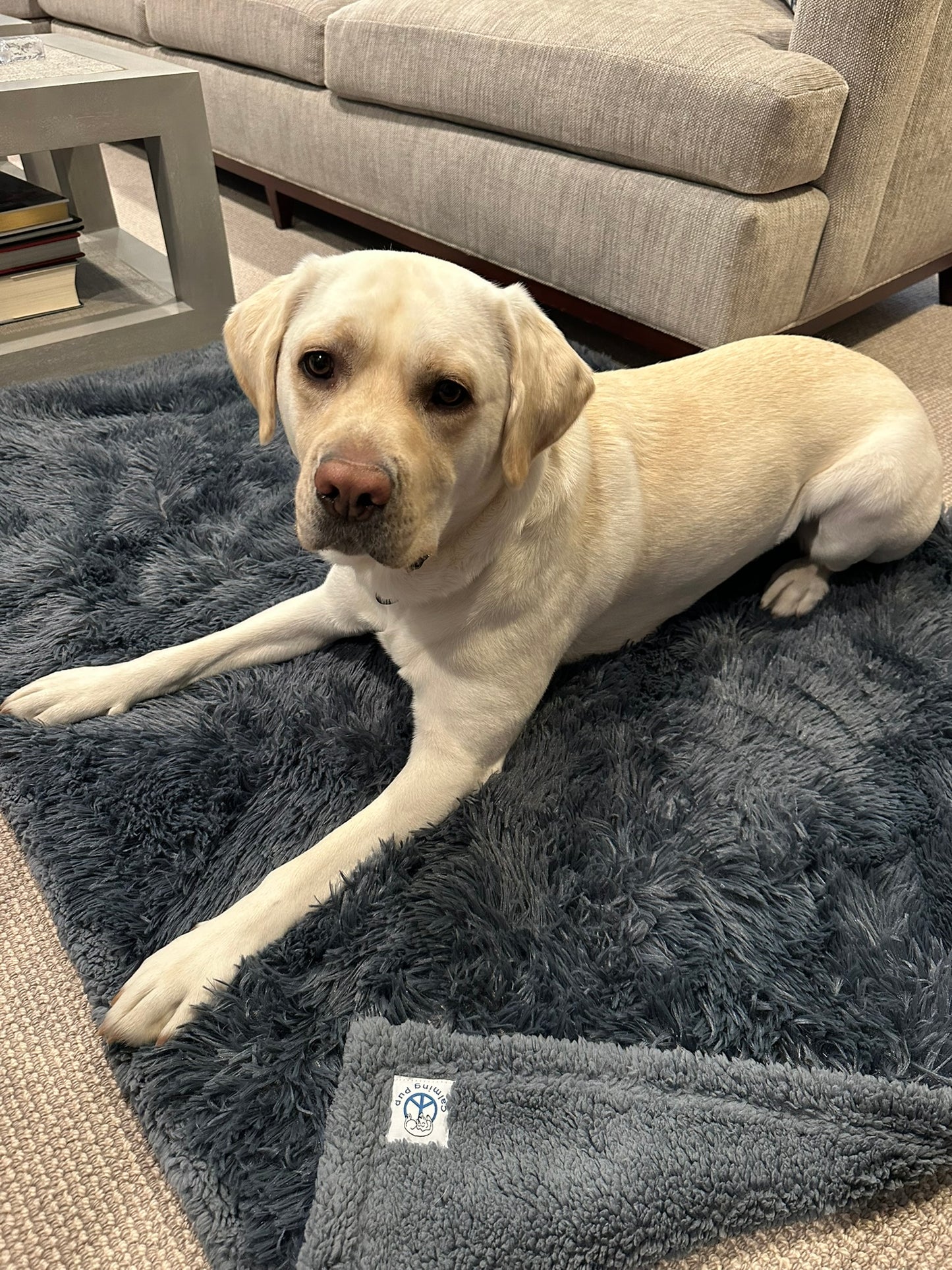 Premium Calming Waterproof Blanket