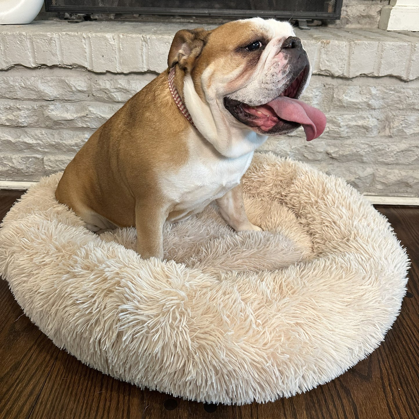The Original Calming Dog Bed