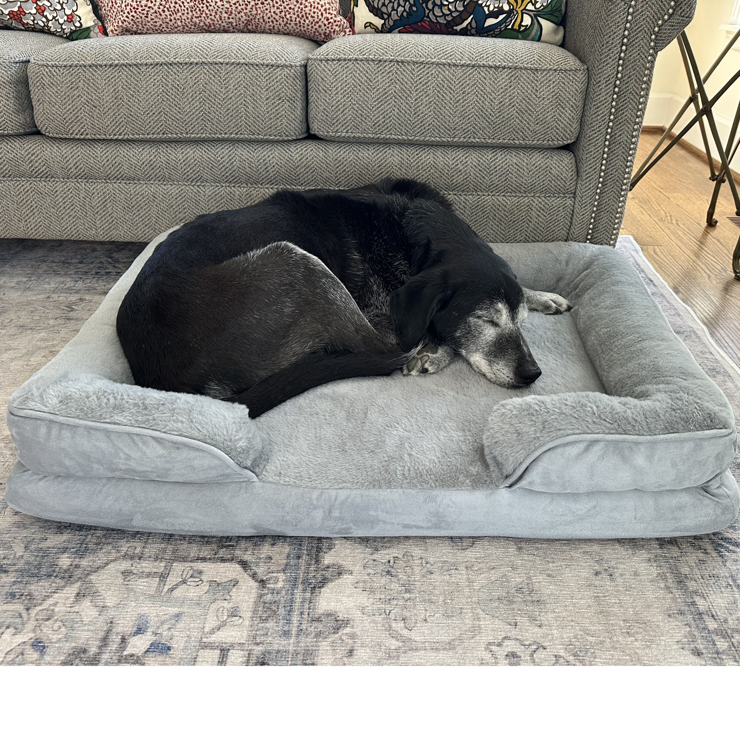 Black dog sleeping comfortably in dove grey orthopedic calming dog bed