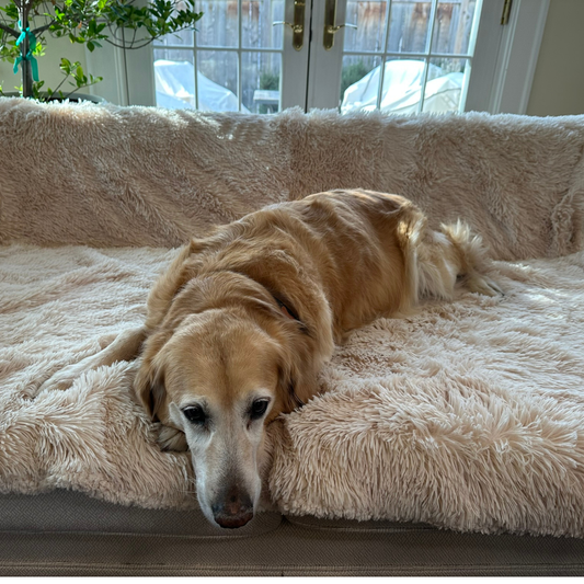 Premium Calming Waterproof Blanket