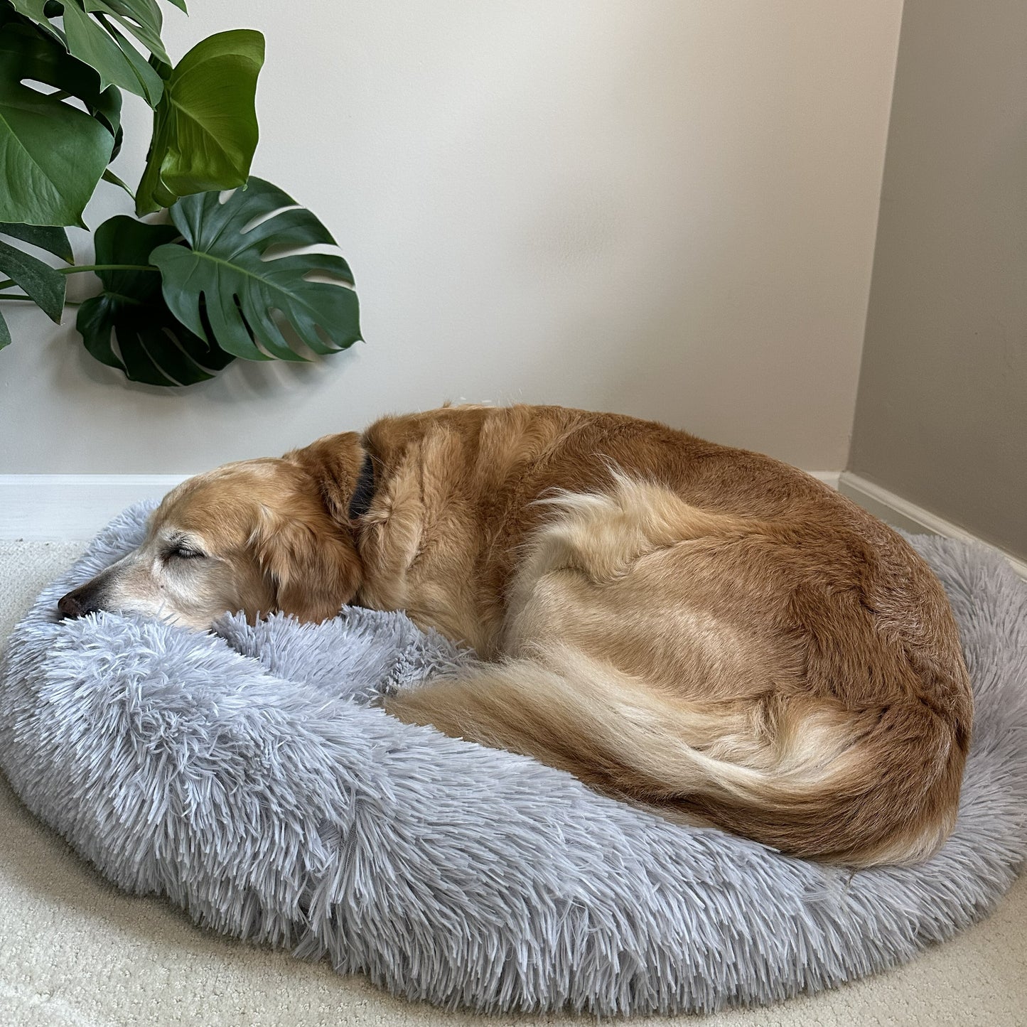 The Original Calming Dog Bed