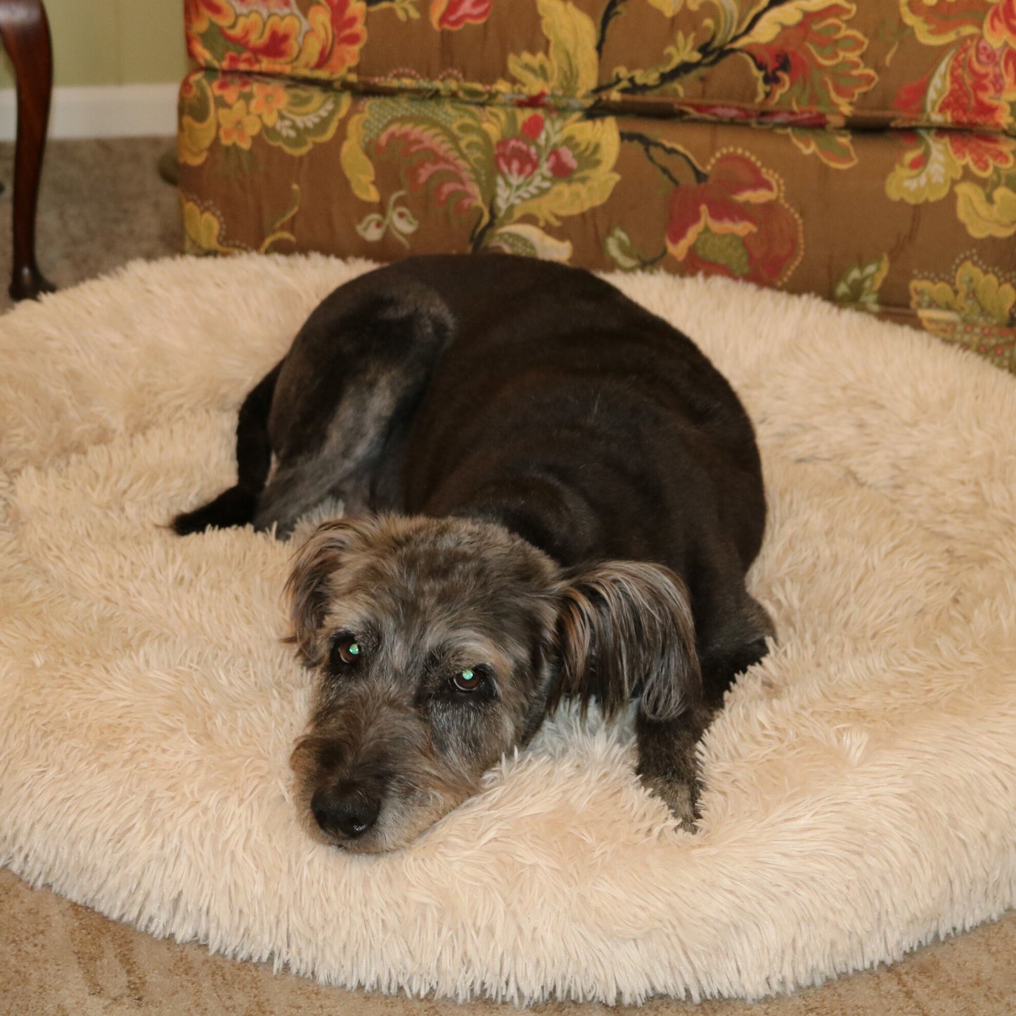 The Original Calming Dog Bed