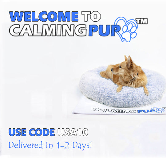 Calming Pup Homepage Mobile