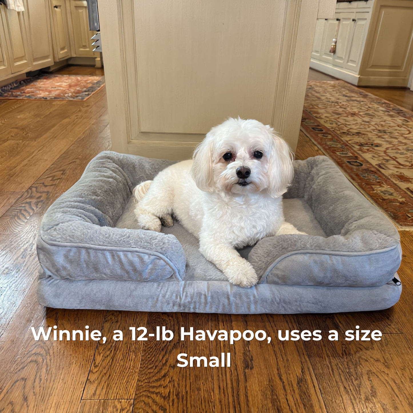 Orthopedic Dog Bed - Designed to Calm Anxious Dogs