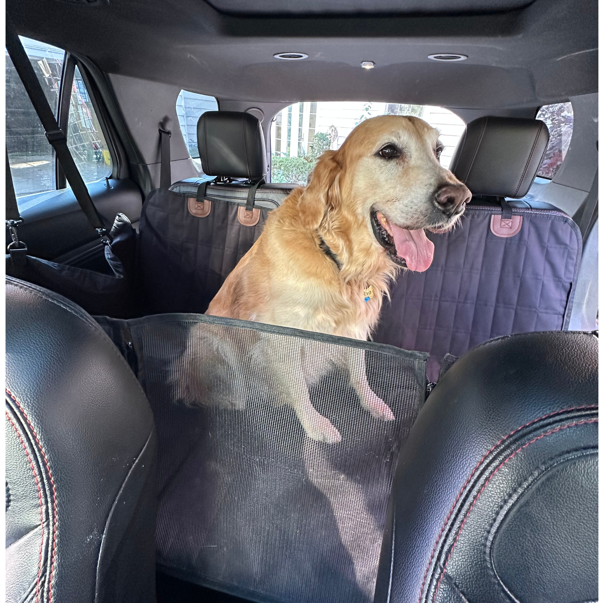 Golden retriever sitting on calming car bed for dogs with mesh window view in the back seat of a vehicle
