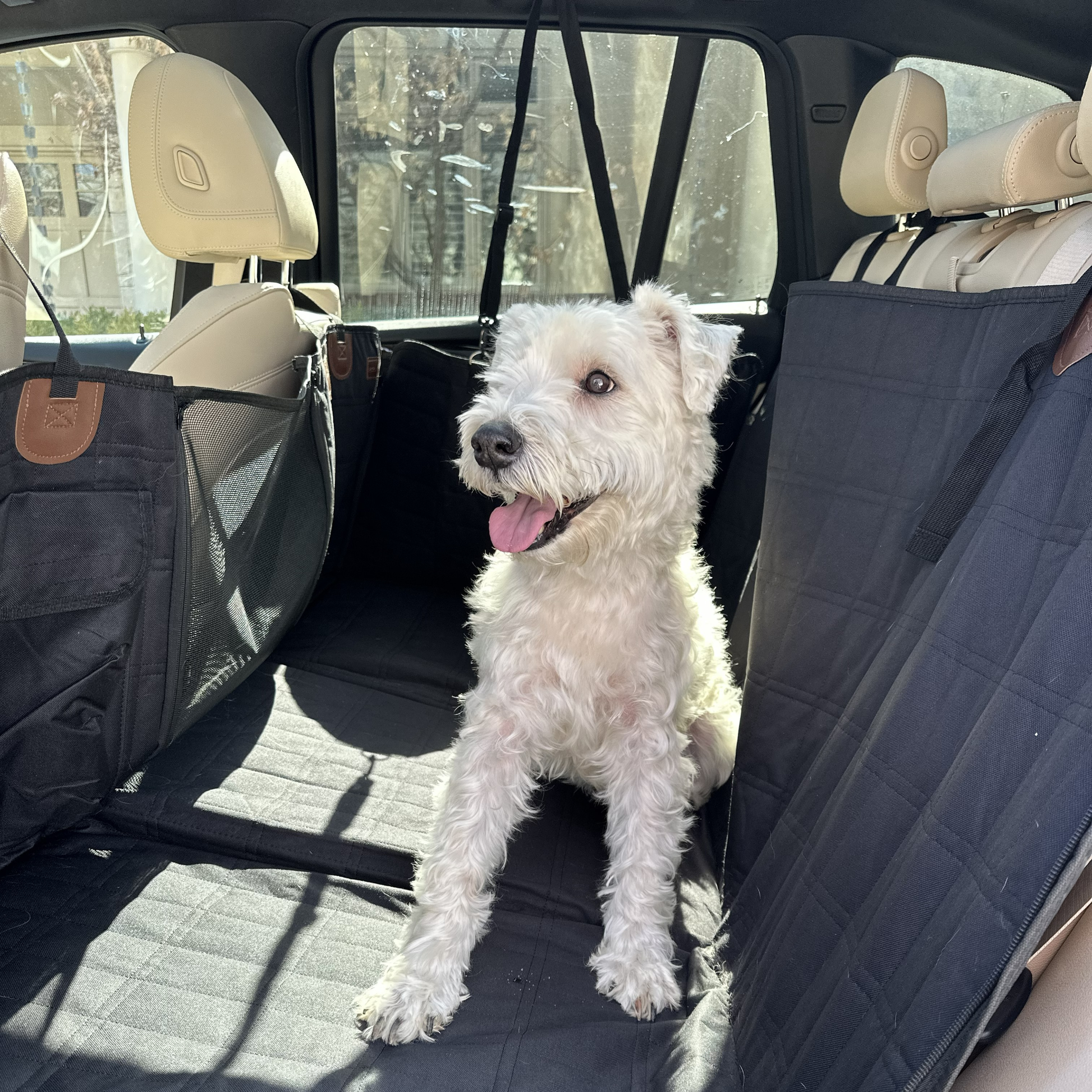 Small white dog sitting in calming car bed installed across vehicle back seat