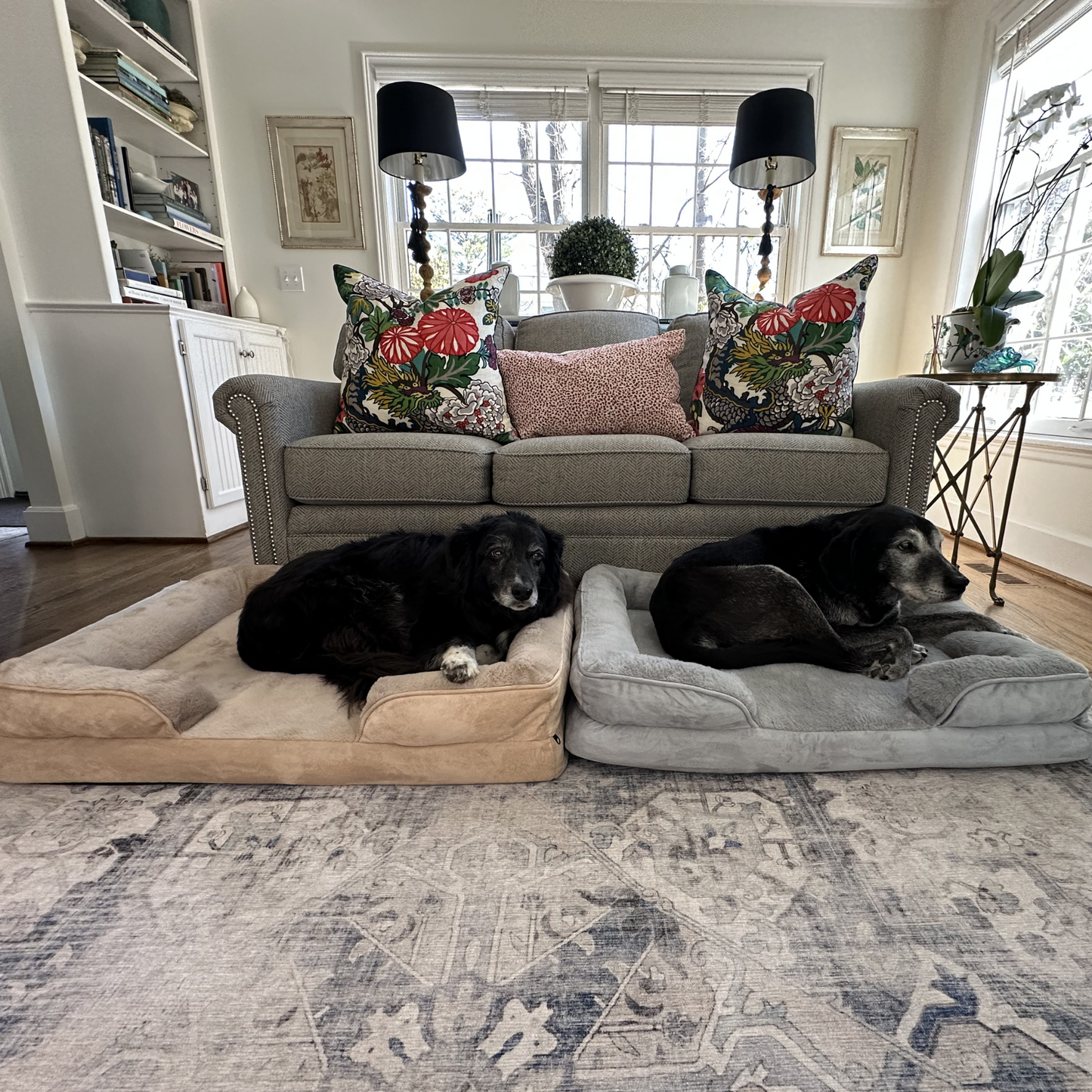 Two orthopedic calming dog beds in dove grey and warm sand colors