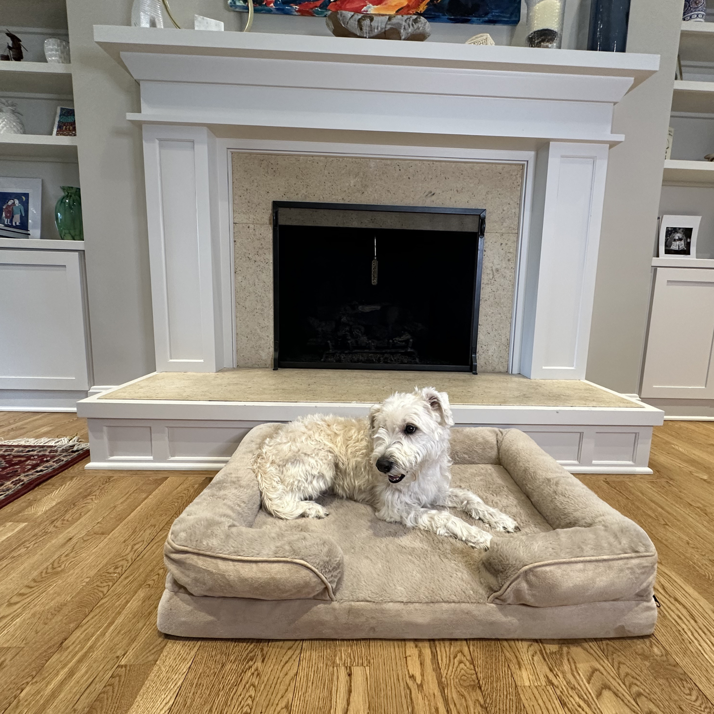 White dog relaxing in warm sand orthopedic calming dog bed near fireplace