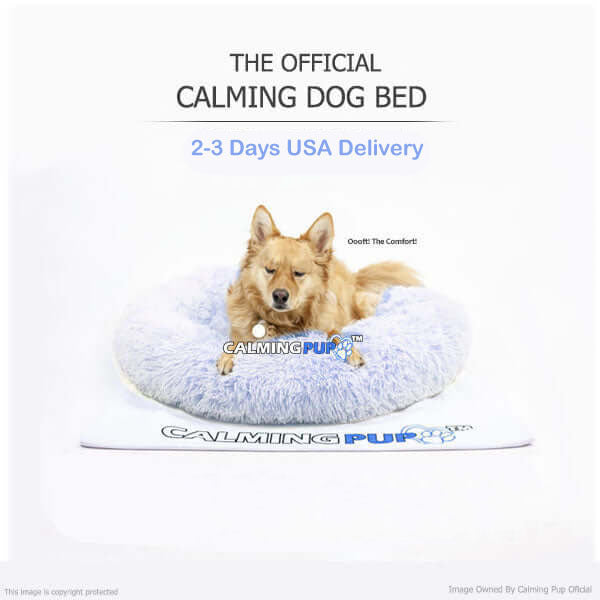 The Original Calming Dog Bed | upto 60% OFF TODAY ONLY!