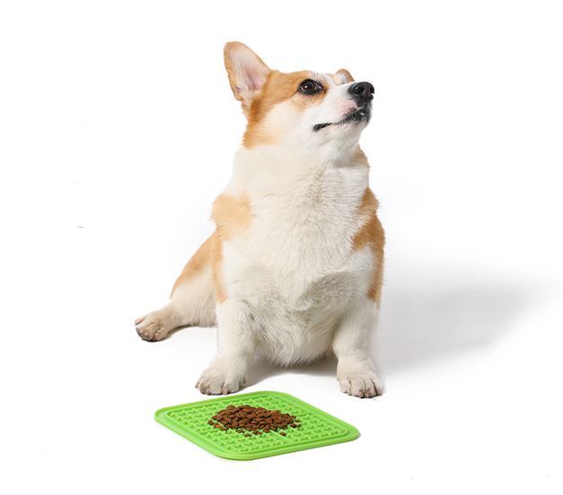 Want to keep your pup busy? Frozen lick mats are a great way to